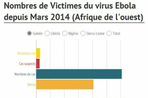 Article : Les ravages de l’épidémie d’Ebola en une infographie